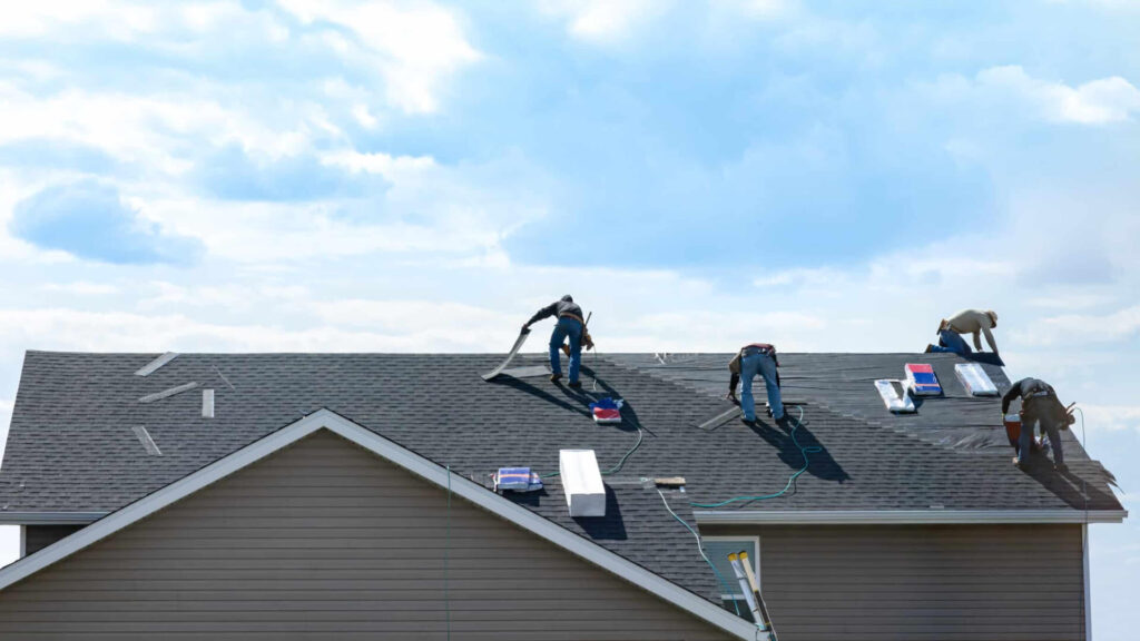 Roof Cleaning