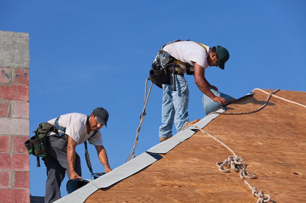 Roofing Maintenance