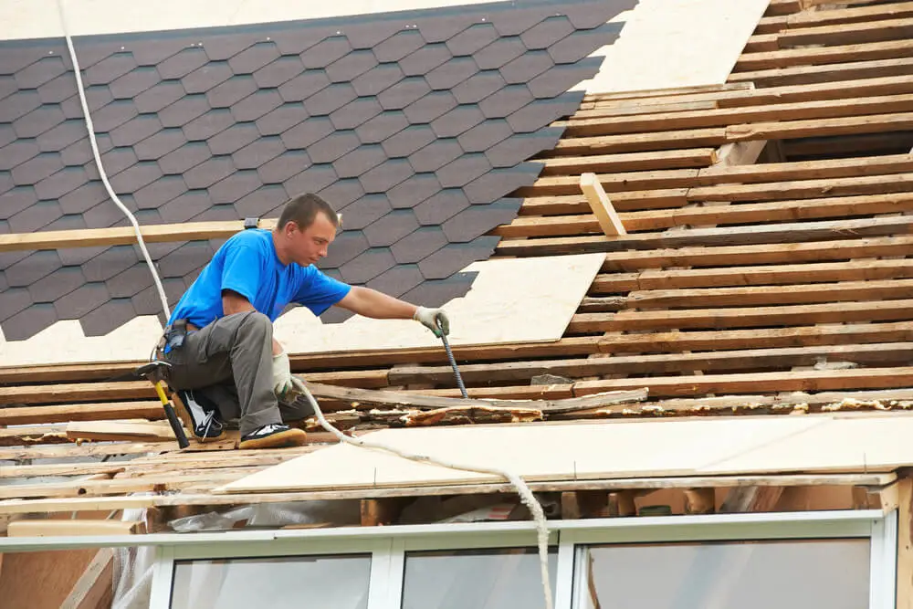 Roof Cleaning