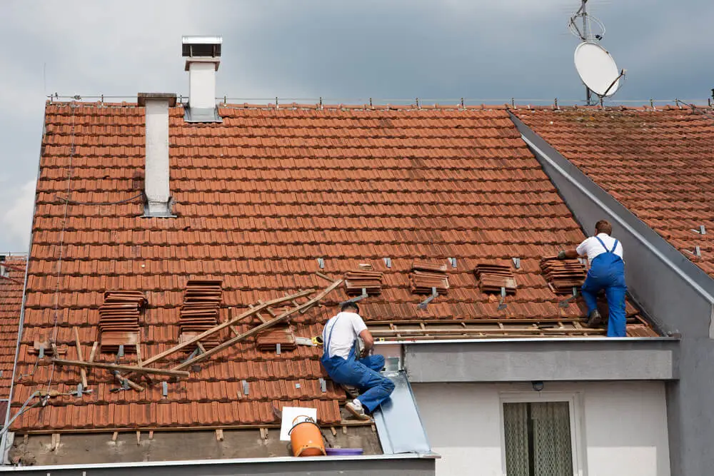 Roof Cleaning