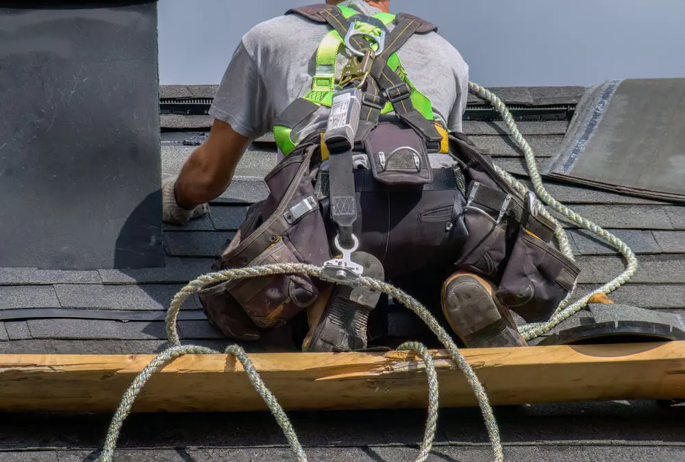 Roof Cleaning