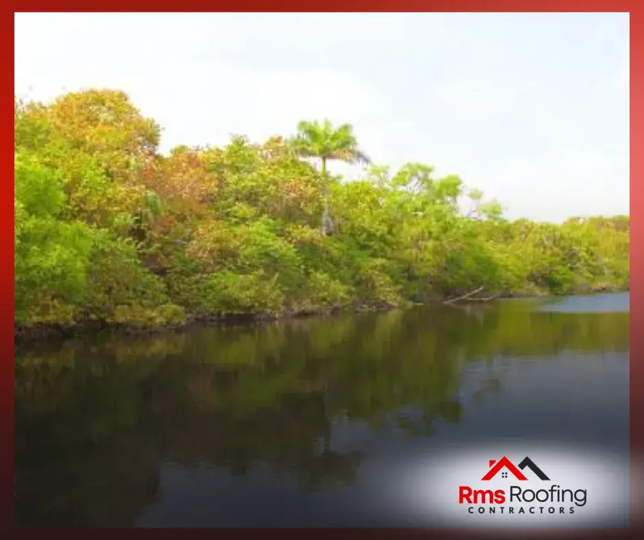 A serene landscape of Hugh Taylor Birch State Park in Fort Lauderdale, featuring a tranquil trail surrounded by lush trees and greenery.